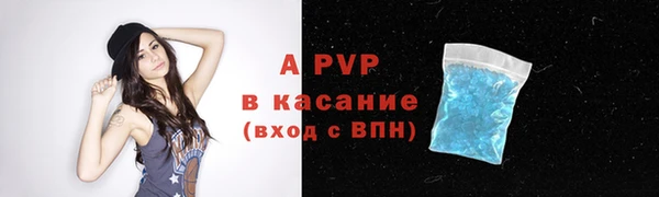 стаф Абаза