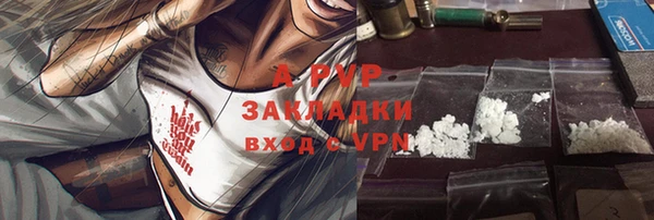 стаф Абаза