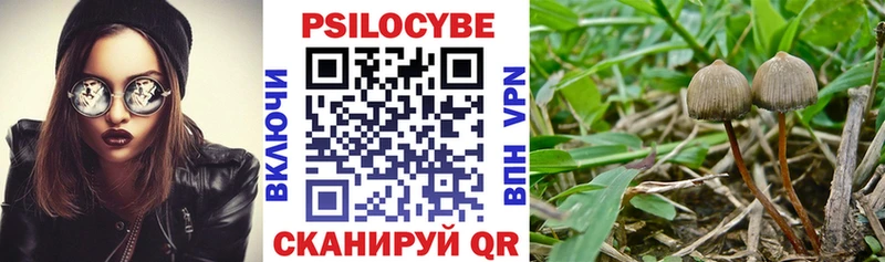 сколько стоит  Гусиноозёрск  Галлюциногенные грибы прущие грибы 